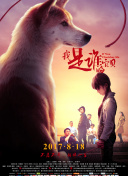 龙珠觉醒攻略：快速获得稀有资源的方法